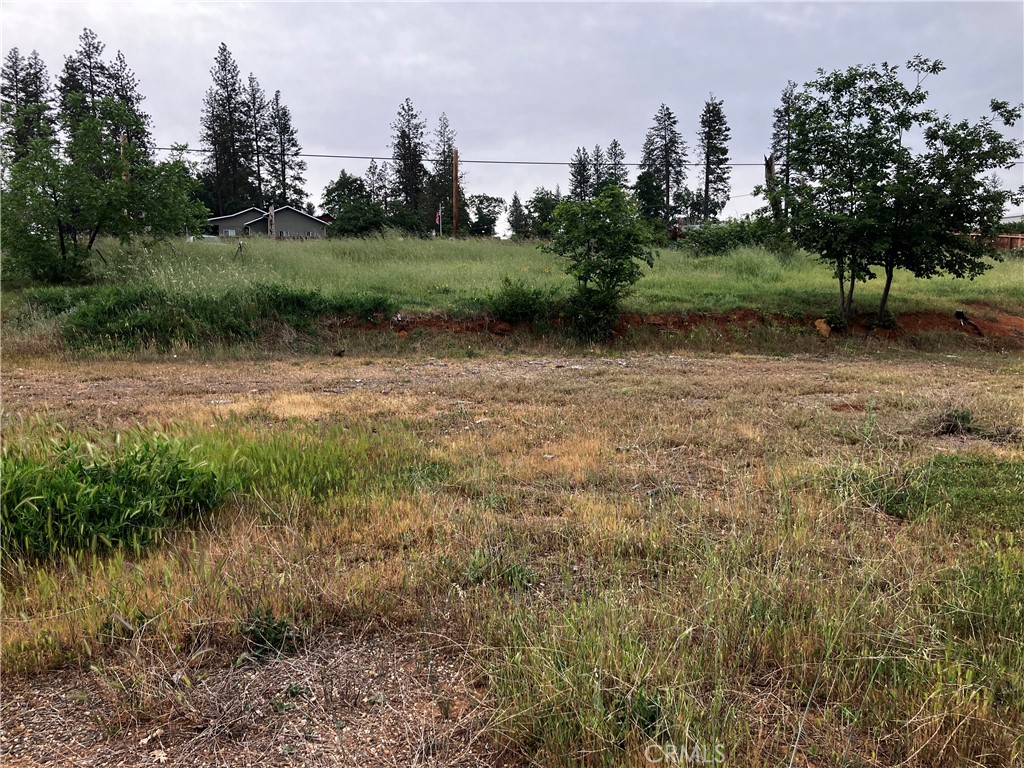 1318 Pearson Road Property Photo 9
