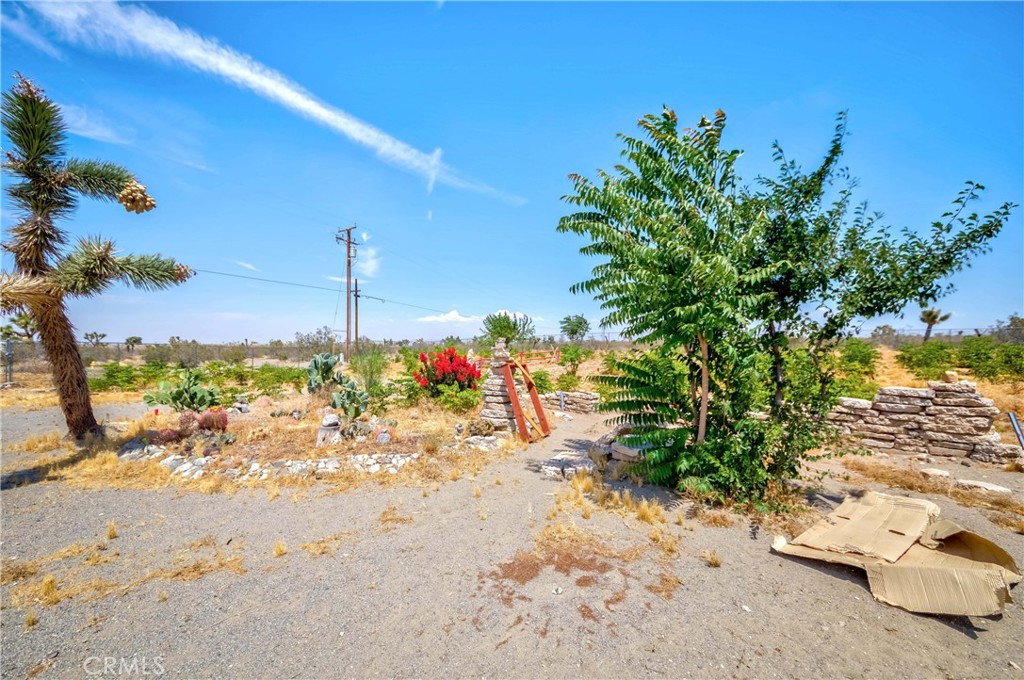 3789 Luna Road Property Photo 59