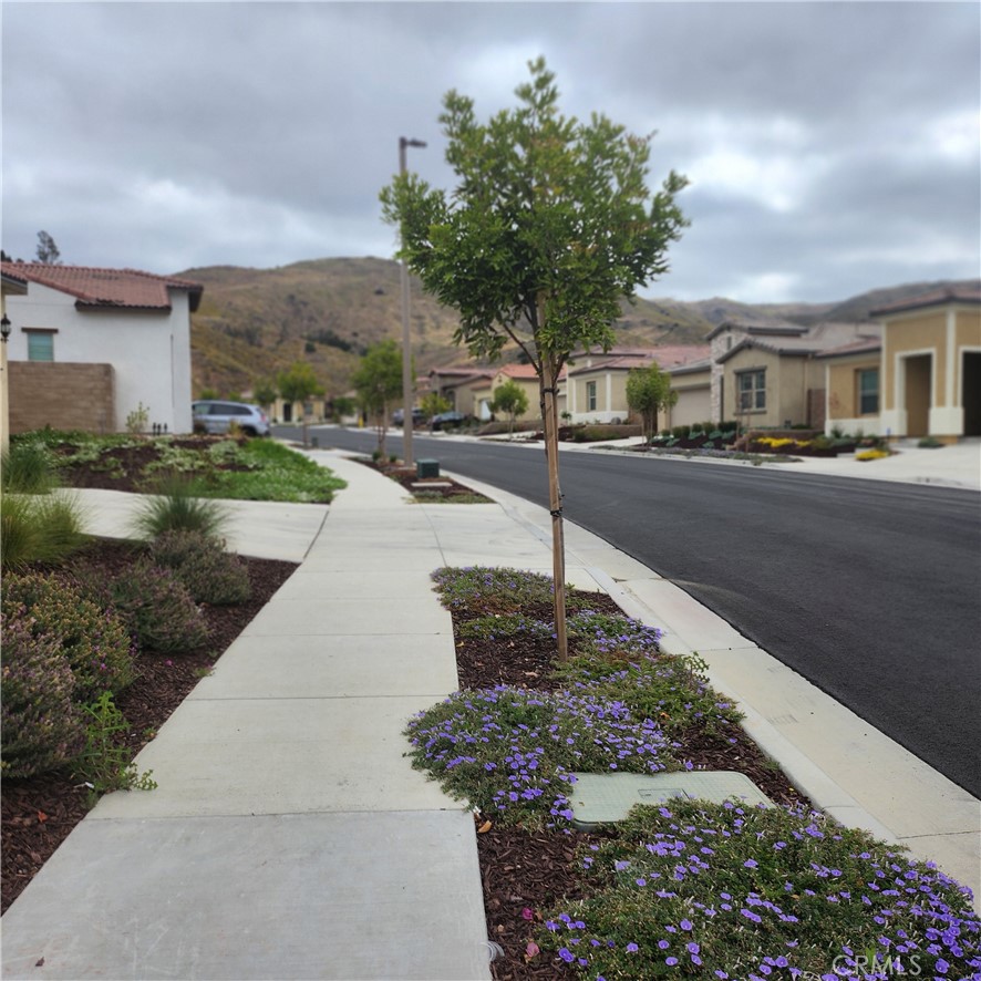 11882 Wandering Way Property Photo 36