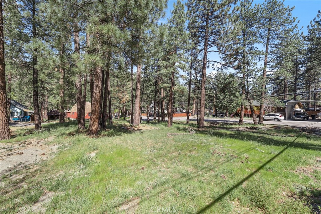 1179 Edna Property Photo 1
