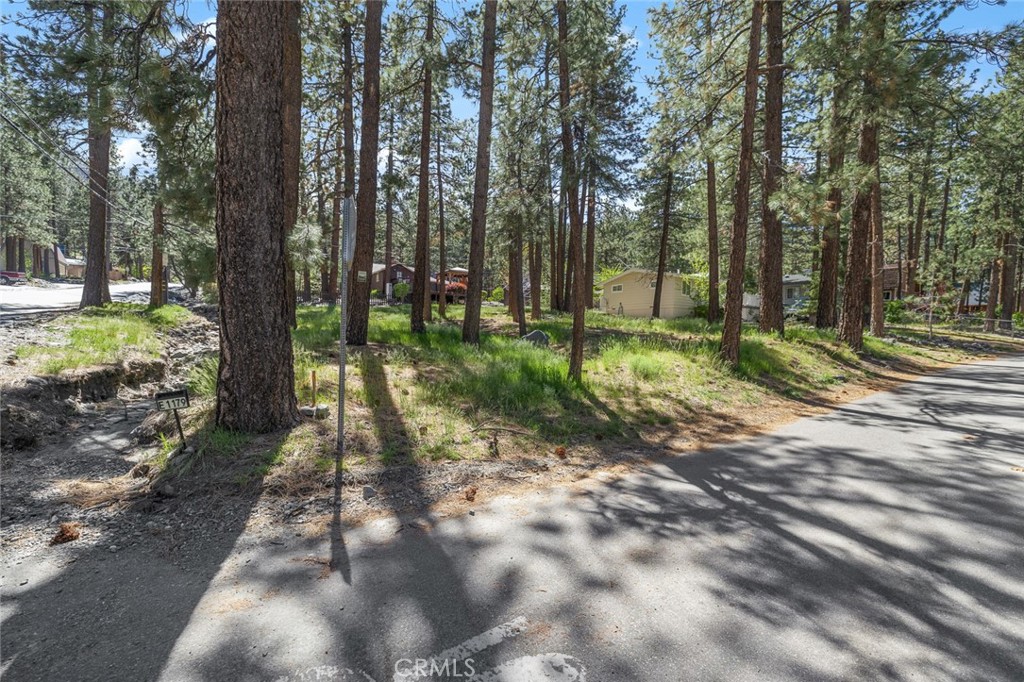1179 Edna Property Photo 3