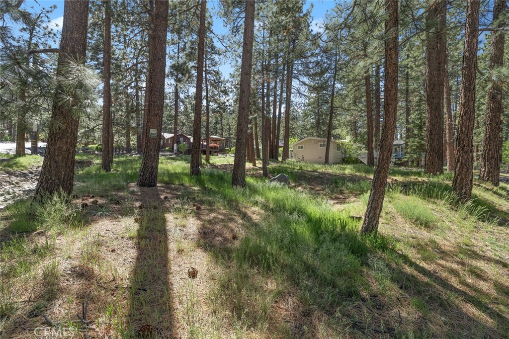 1179 Edna Property Photo 4