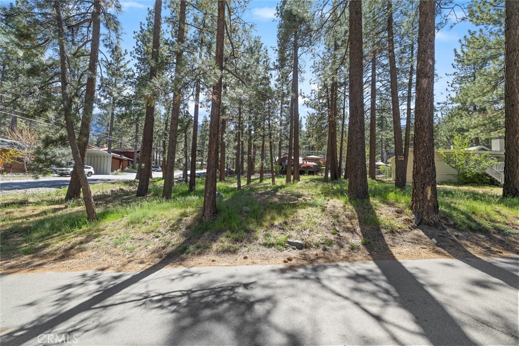 1179 Edna Property Photo 5