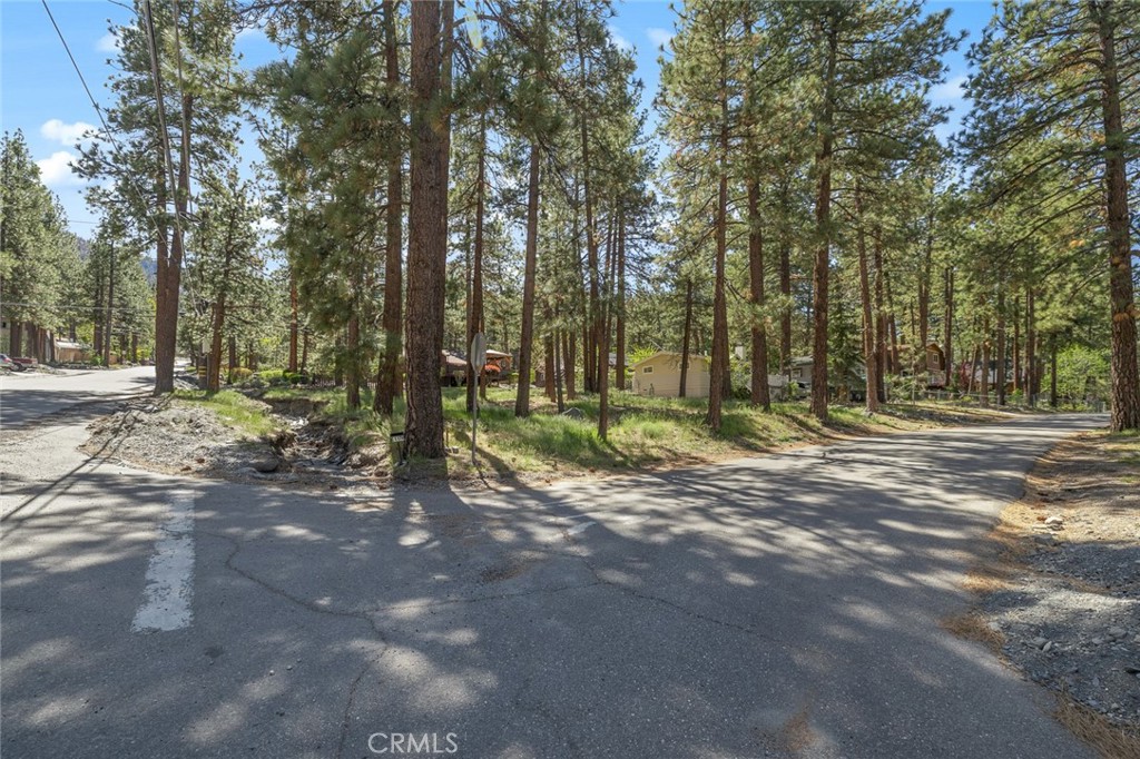1179 Edna Property Photo 6