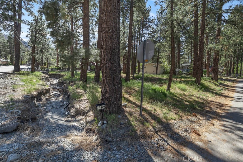 1179 Edna Property Photo 7