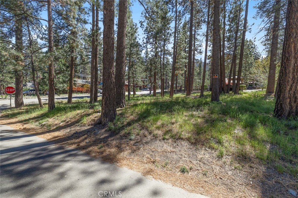 1179 Edna Property Photo 9
