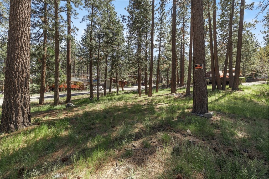 1179 Edna Property Photo 10