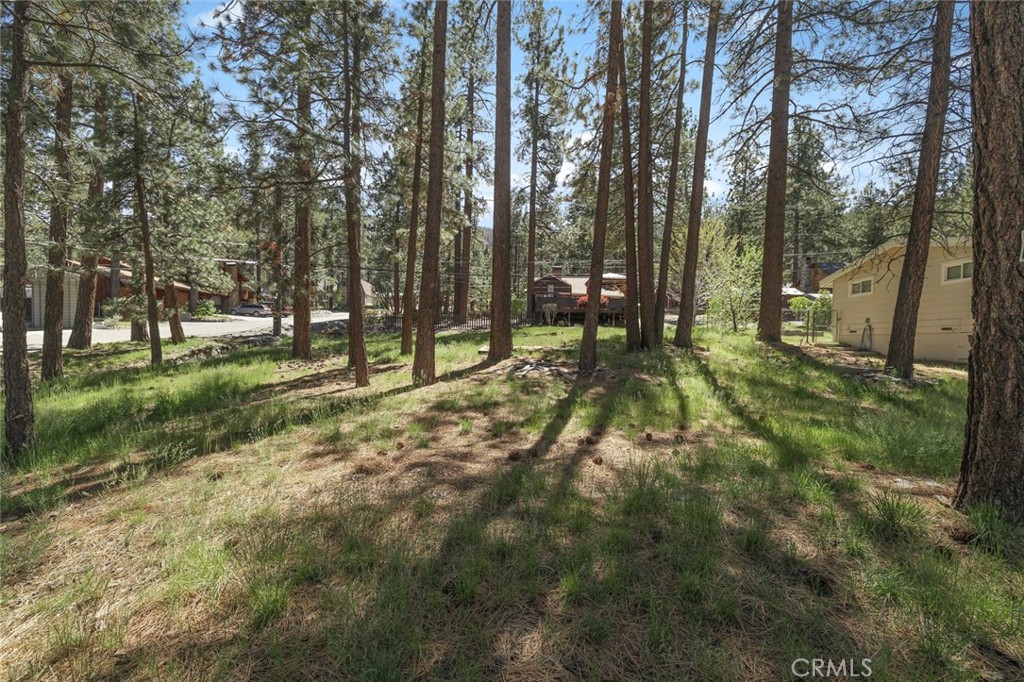 1179 Edna Property Photo 11