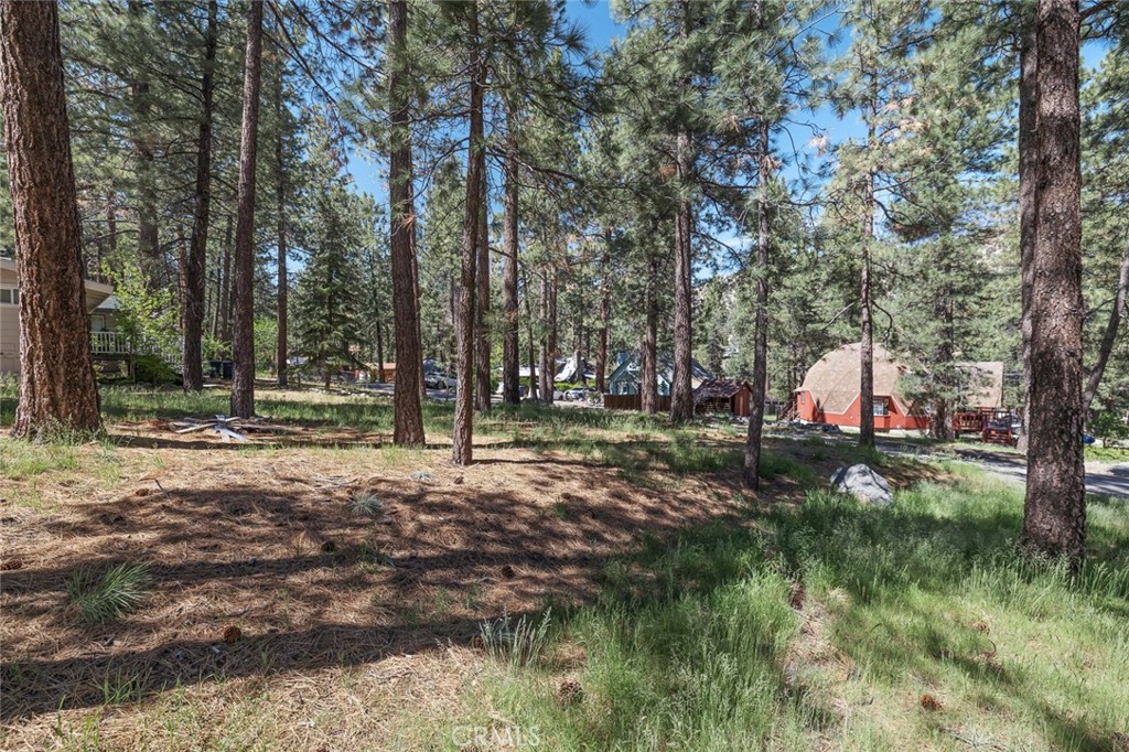 1179 Edna Property Photo 12