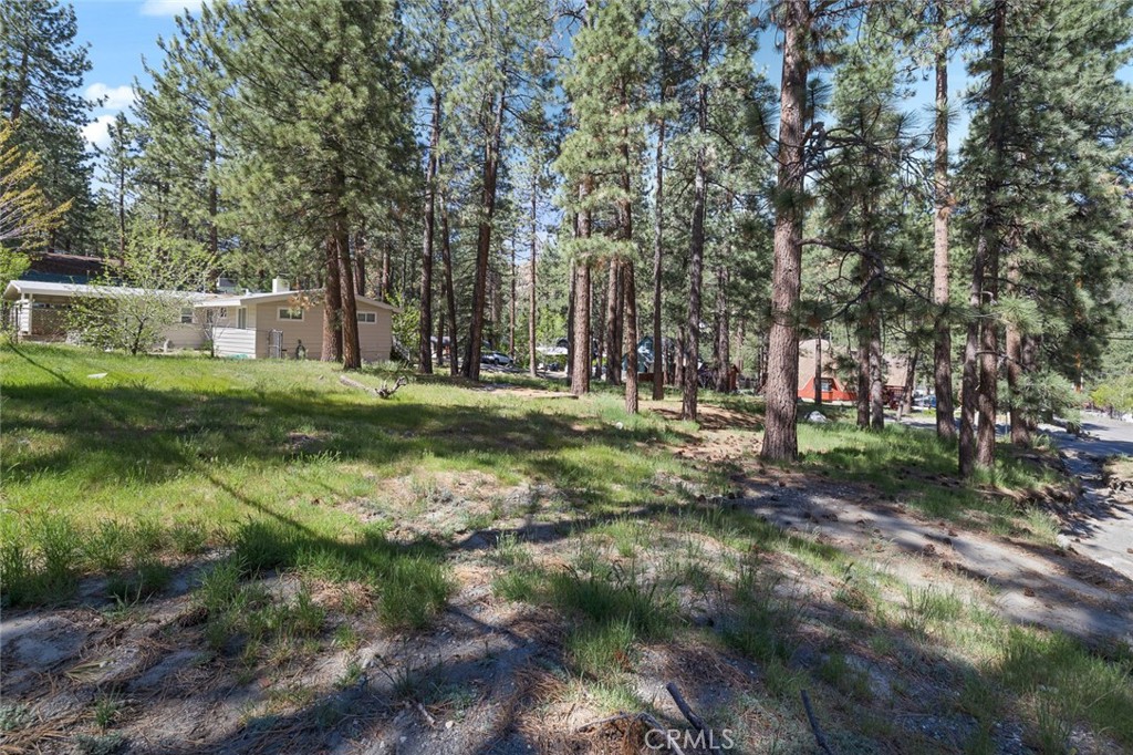 1179 Edna Property Photo 13