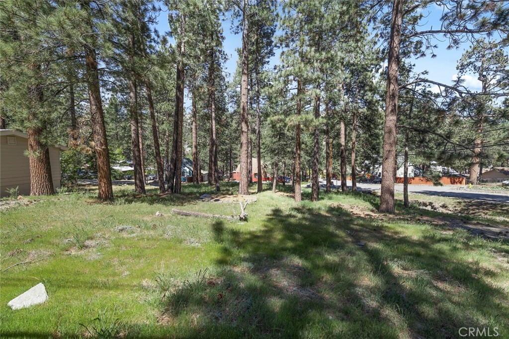 1179 Edna Property Photo 14