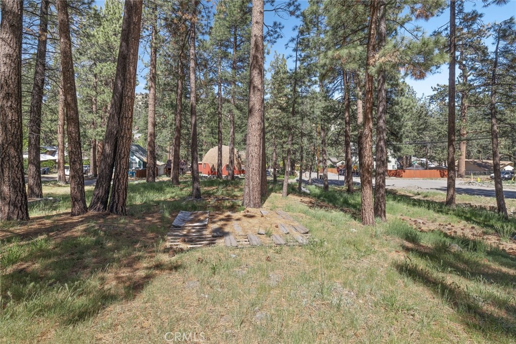 1179 Edna Property Photo 15