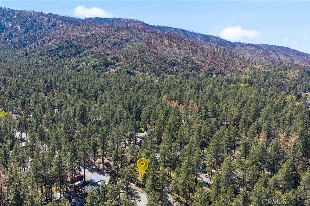 1179 Edna Property Photo 19