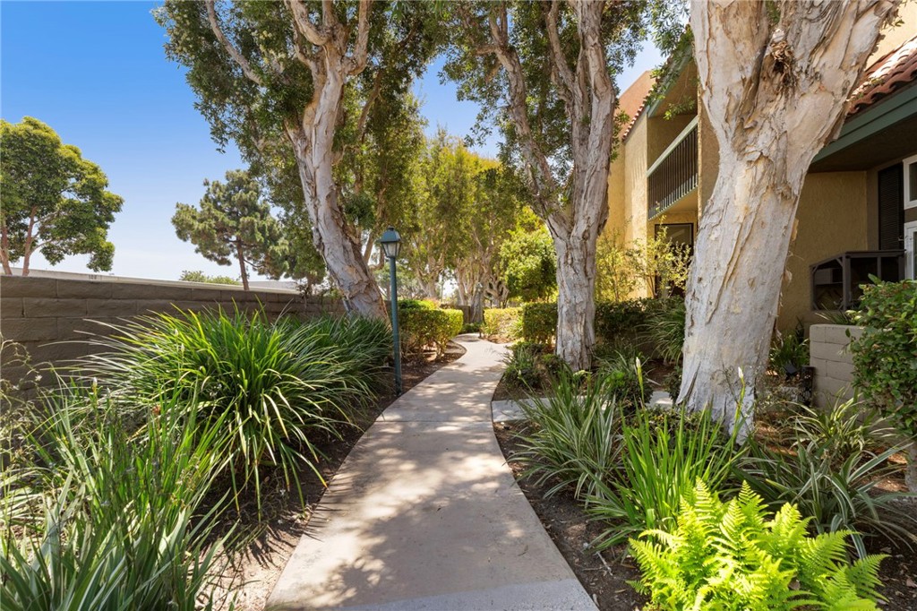 1028 Palo Verde Avenue Property Photo 34