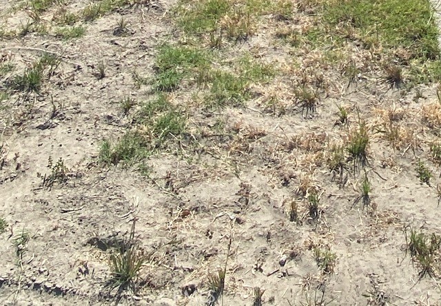1 A Property Photo 1