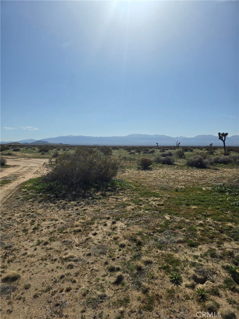200 Avenue M-4 Property Photo 1