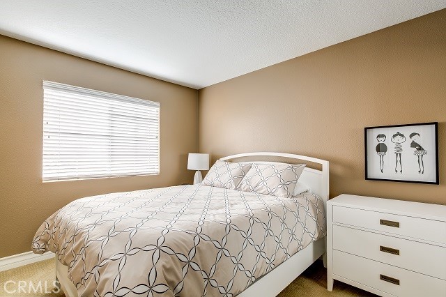 2439 Paseo Circulo Property Photo 23