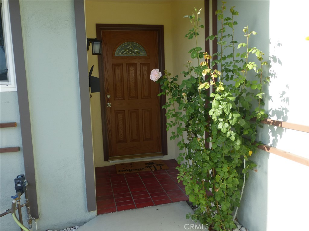 8881 Albatross Dr Property Photo 4