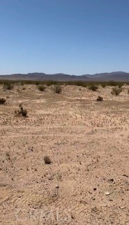 0 Wonder Valley Property Photo 3