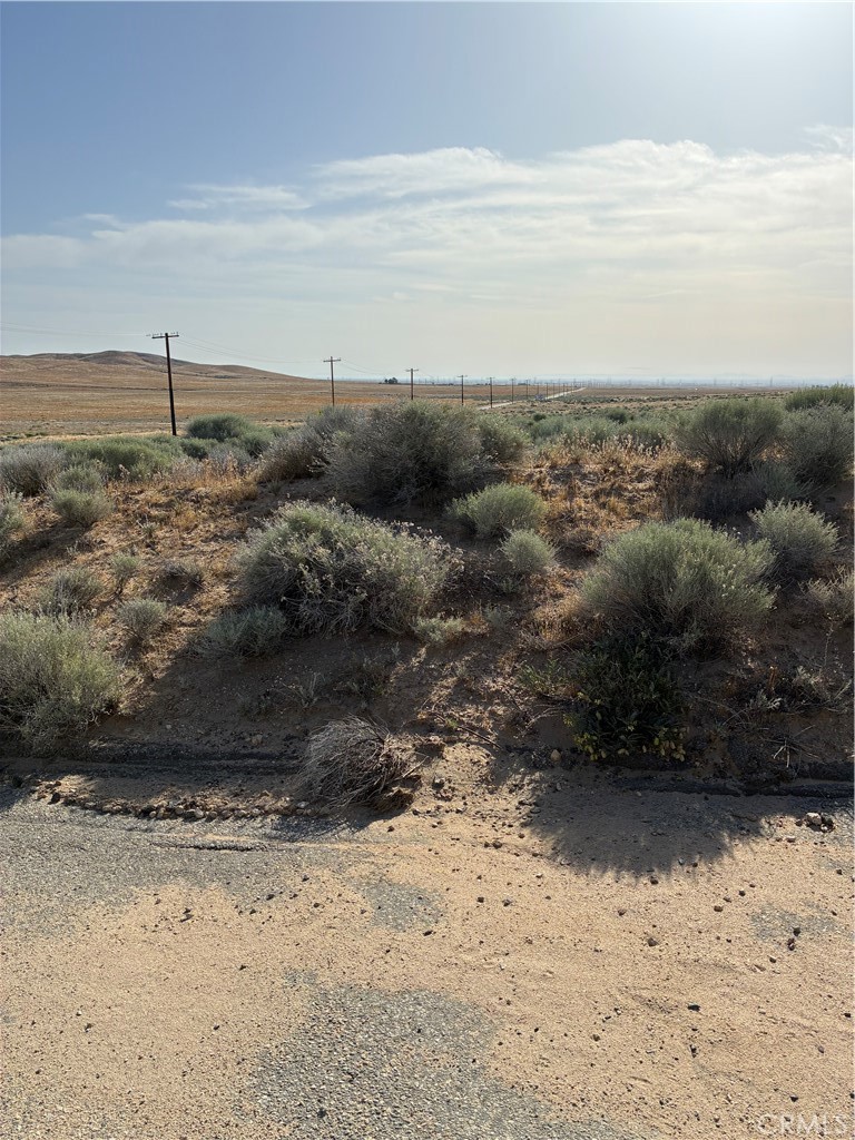 0 Cholla Road Property Photo 1