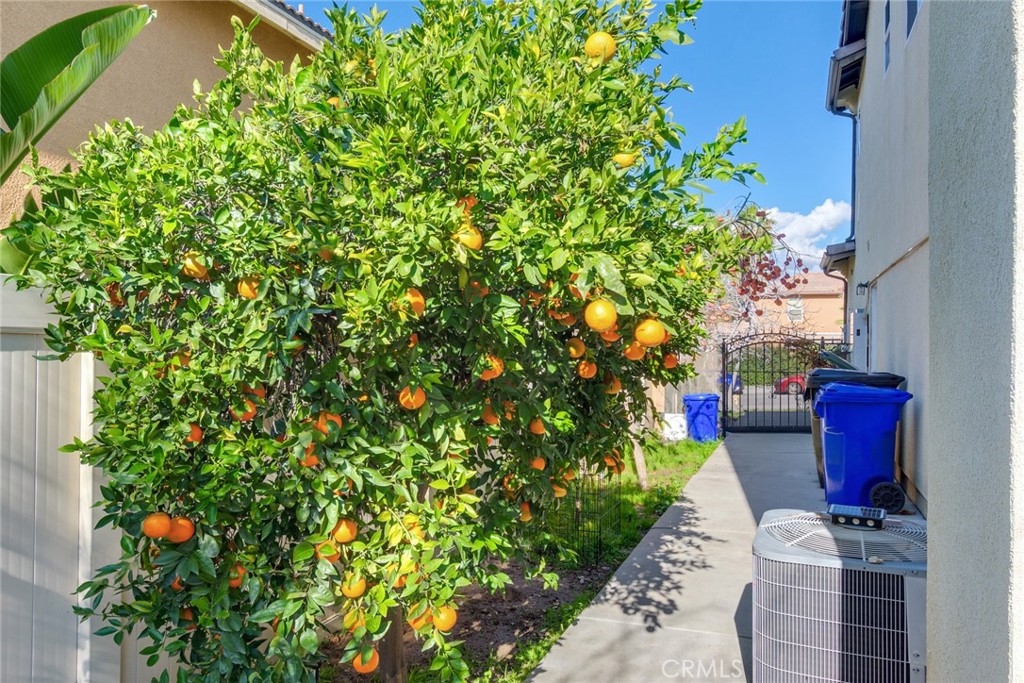 31271 Moss Property Photo 26