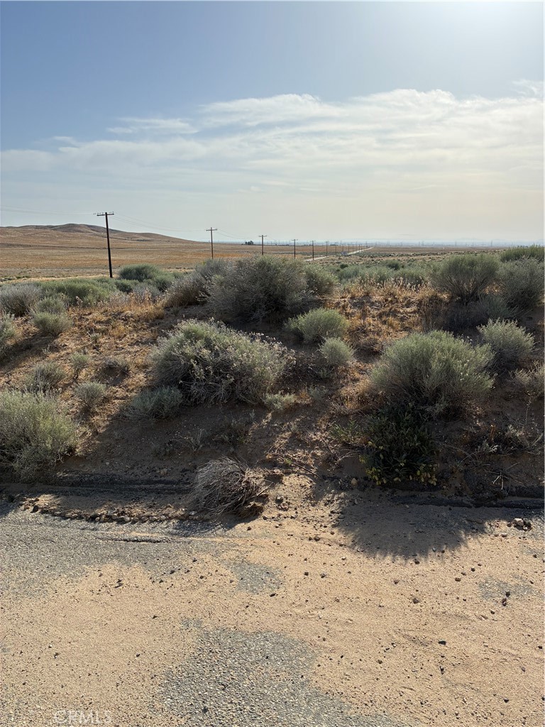 0 Cholla Property Photo 1