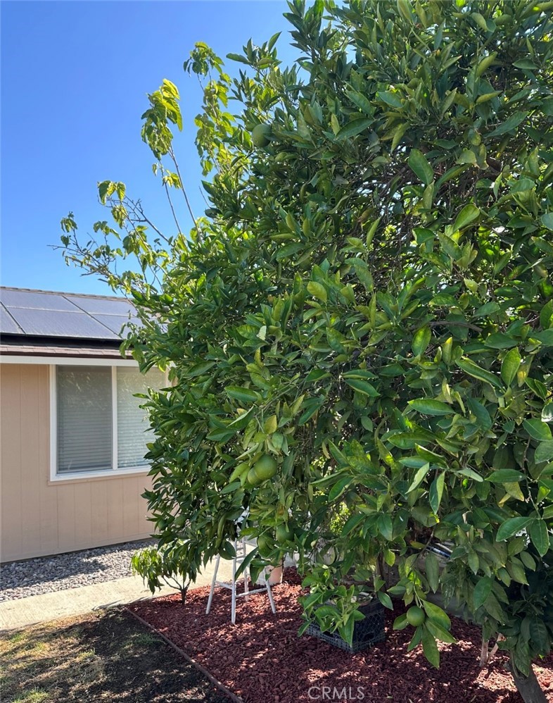 1354 Pleasant View Property Photo 24