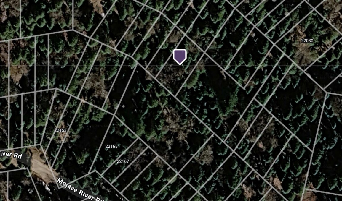 0 Mojave River Property Photo 1
