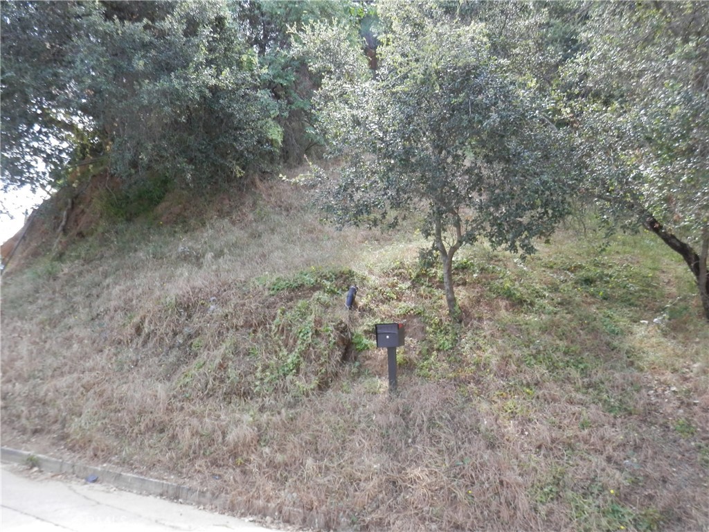0 Wildwood Property Photo 1