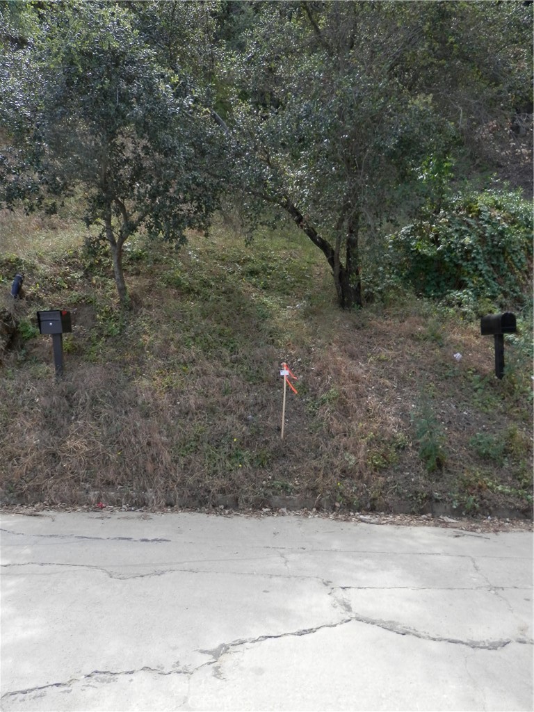 0 Wildwood Property Photo 2