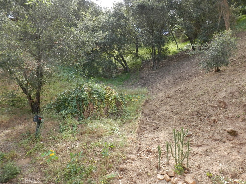 0 Wildwood Property Photo 6