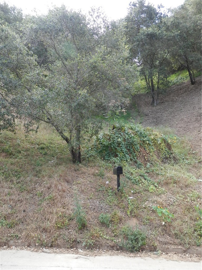 0 Wildwood Property Photo 8