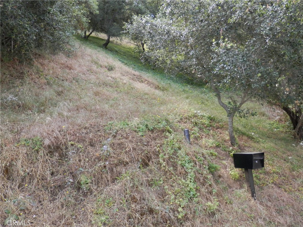 0 Wildwood Property Photo 9