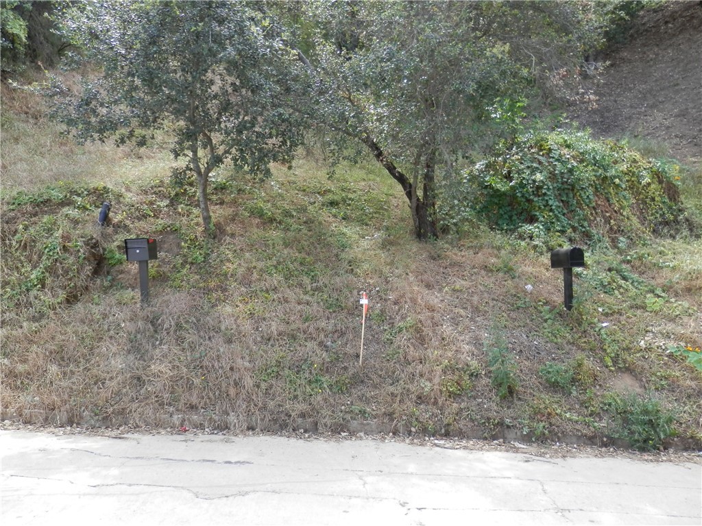 0 Wildwood Property Photo 15