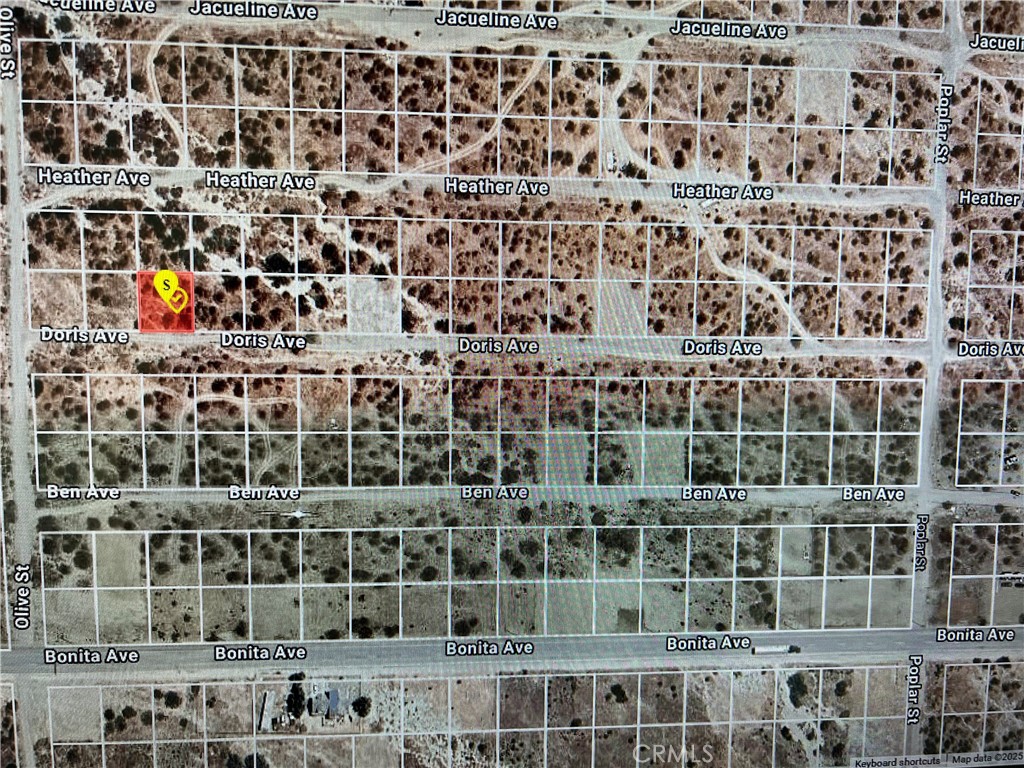 0 Doris Ave Property Photo 2