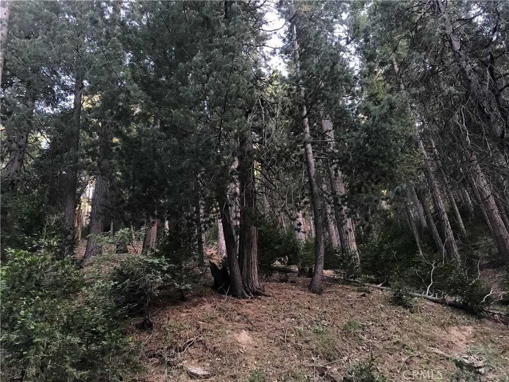 0 Mojave River Property Photo 1