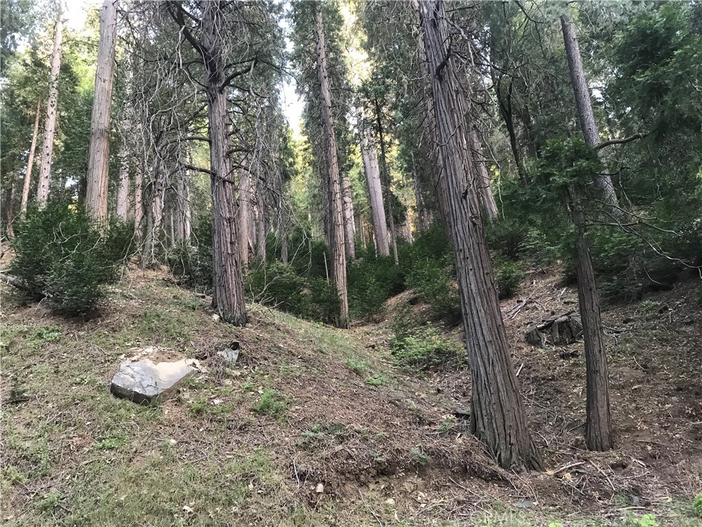 0 Mojave River Property Photo 1
