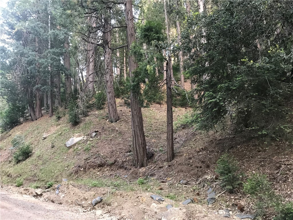 0 Mojave River Property Photo 2