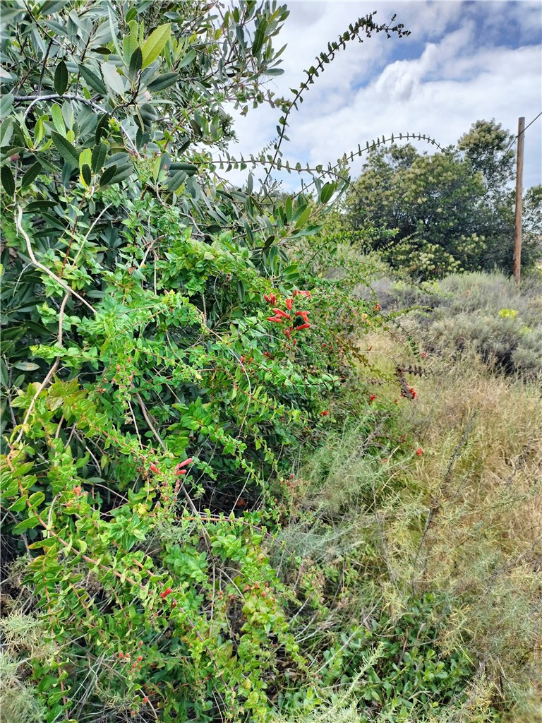 0 Mabey Canyon Property Photo 7