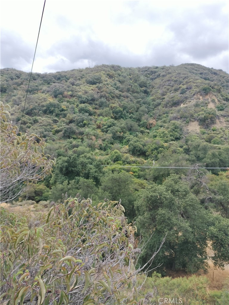 0 Mabey Canyon Property Photo 11