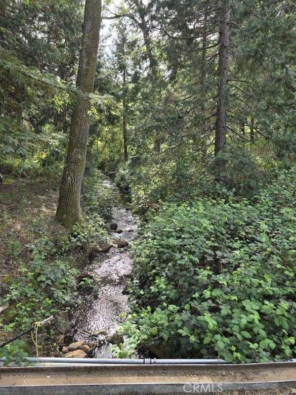 15305 Lake Arthur Road Property Photo 11