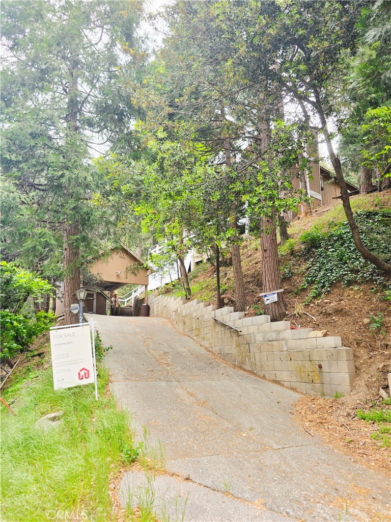25145 Valle Property Photo 4