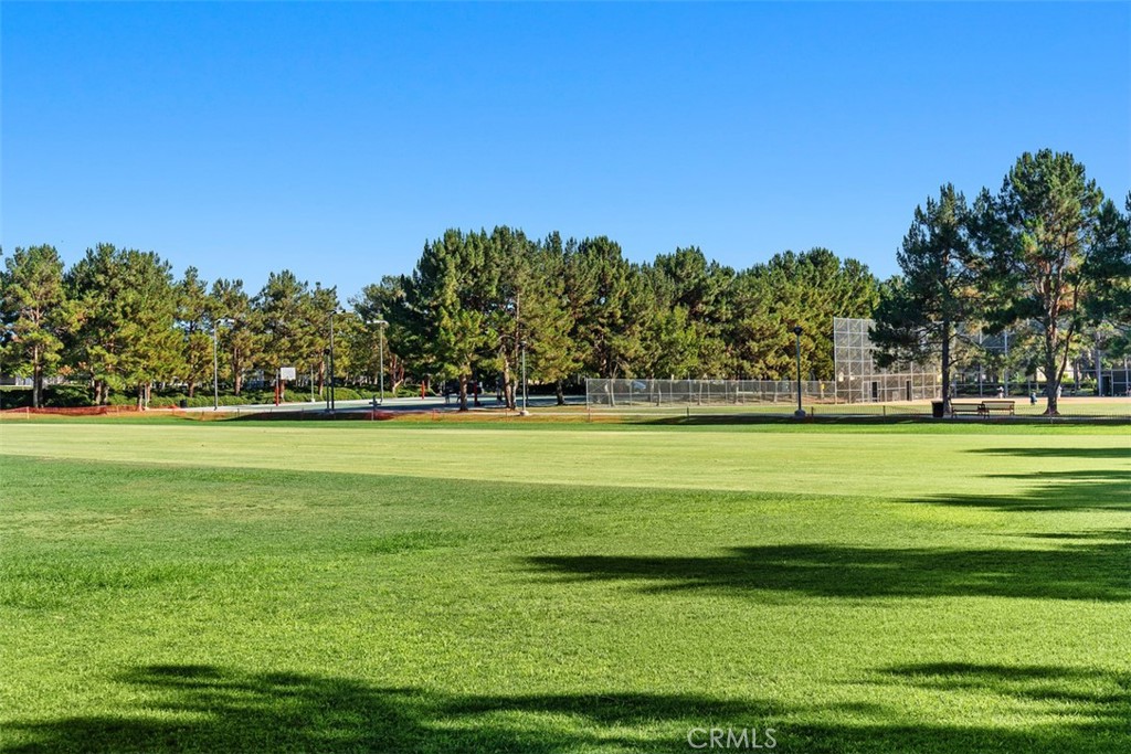 80 Great Lawn Property Photo 36