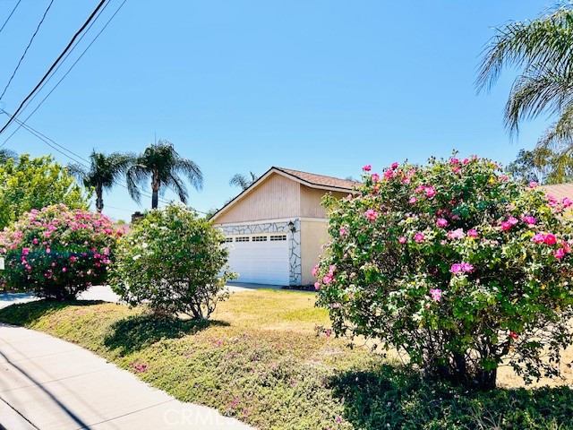 441 Placentia Property Photo 6