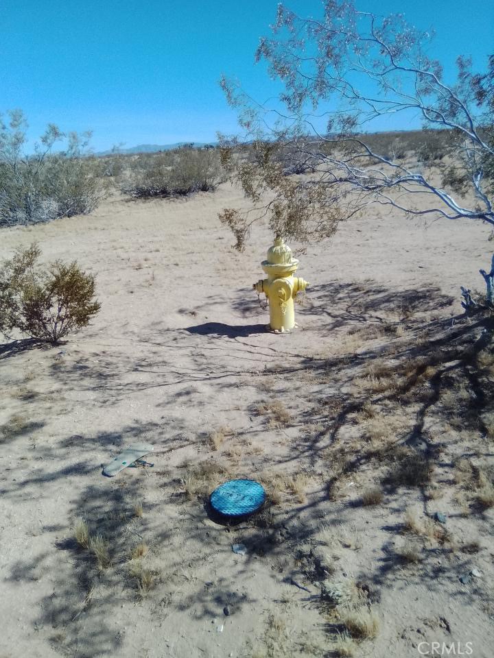 60784 Summers Property Photo 3
