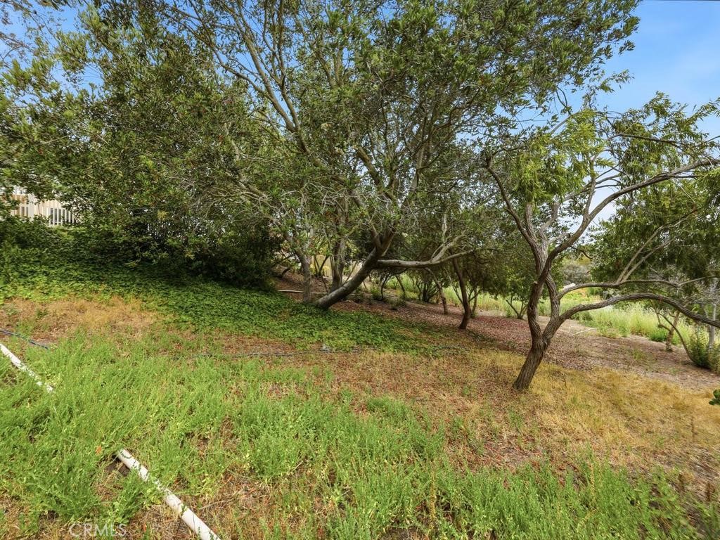 29352 Clipper Way Property Photo 34