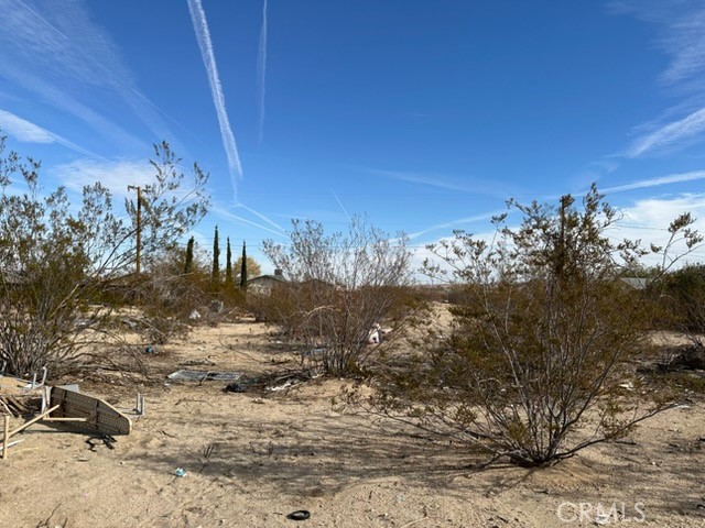 6325 Palm View Property Photo 3