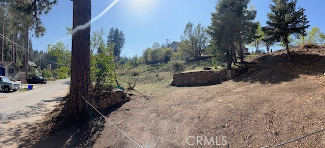 2404 Whispering Pines Property Photo 8