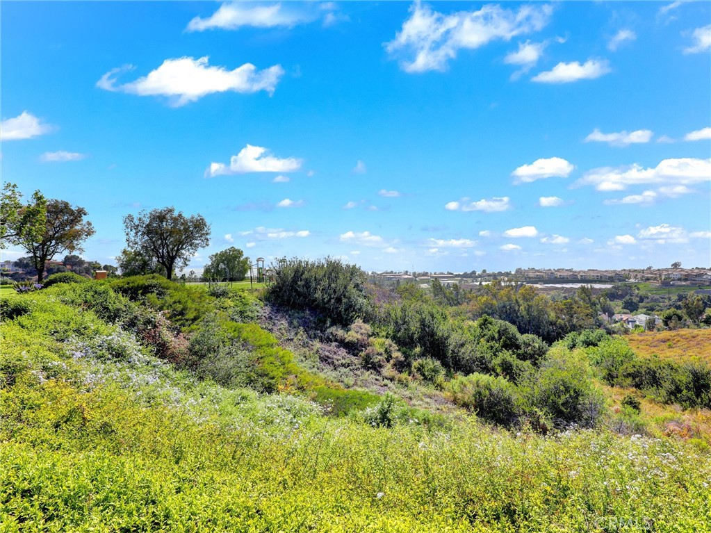 21095 Skylark Drive Property Photo 45
