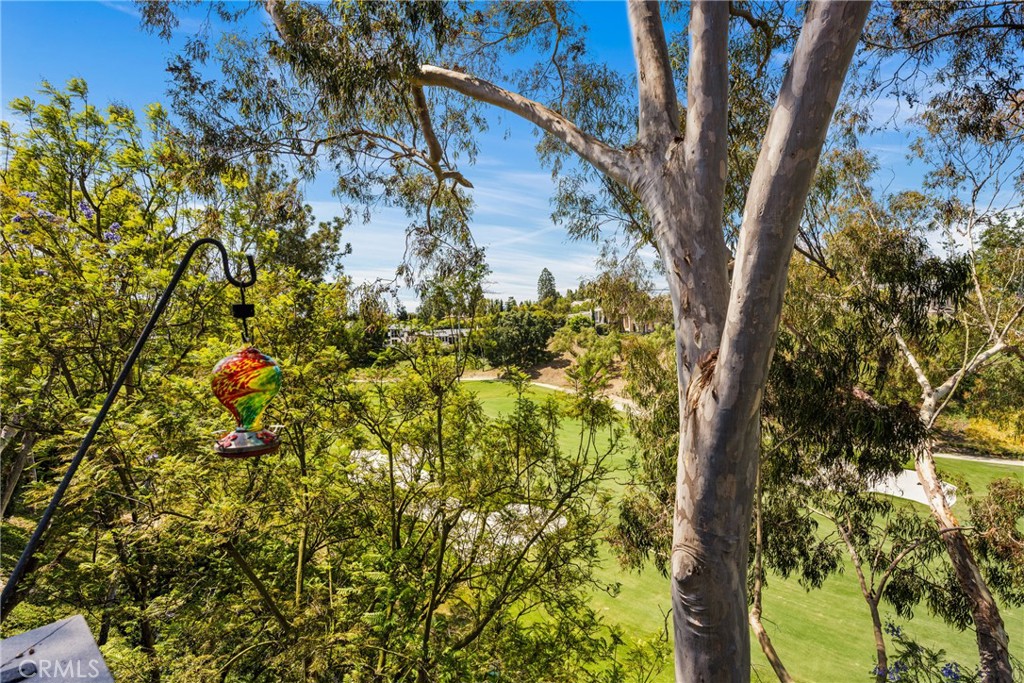9 Canyon Island Drive Property Photo 7